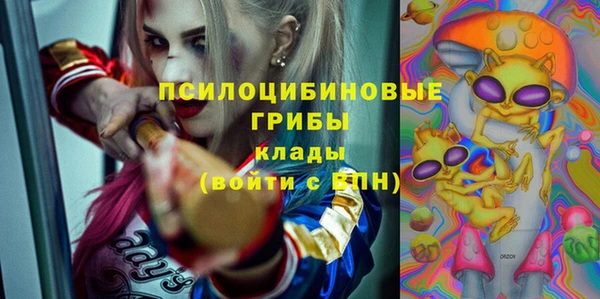 спайс Приозерск