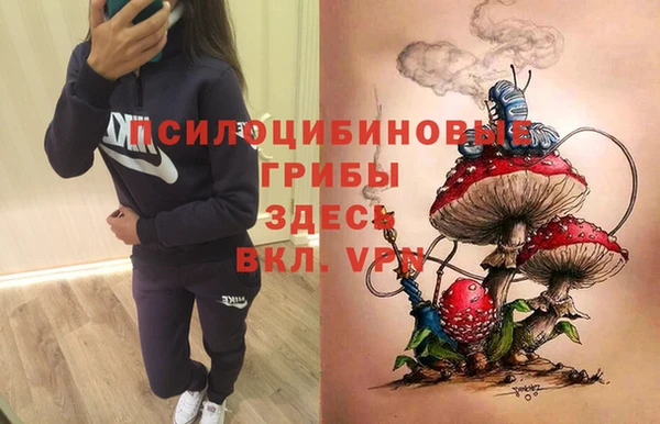 синтетический гашиш Касимов