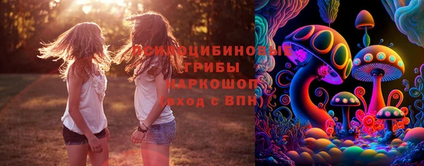 ПСИЛОЦИБИНОВЫЕ ГРИБЫ Киренск